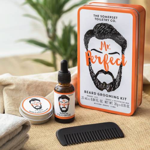 Mr Perfect - Beard Grooming Kit