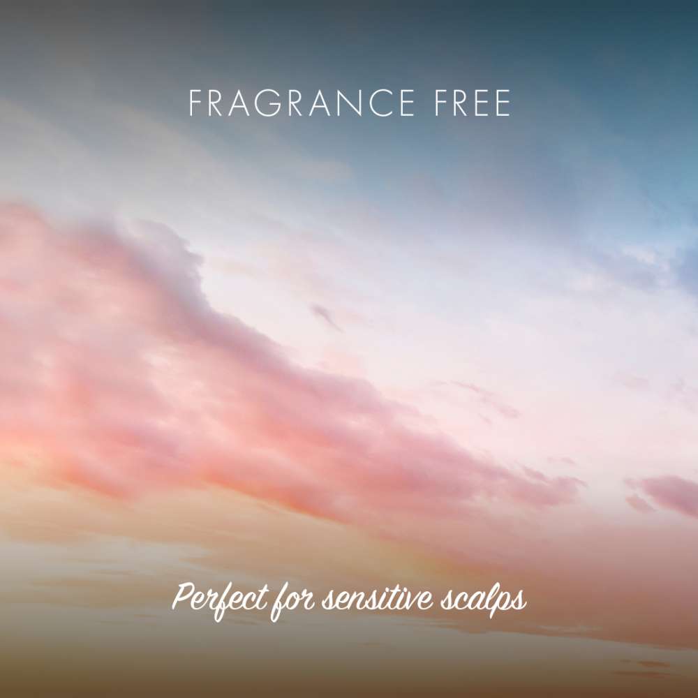 Conditioner Bar Fragrance Free by Friendly Soap