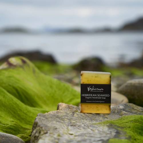 Hebridean Seaweed at the beach
