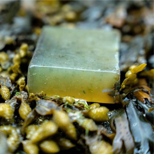 Natural Hebridean Seaweed