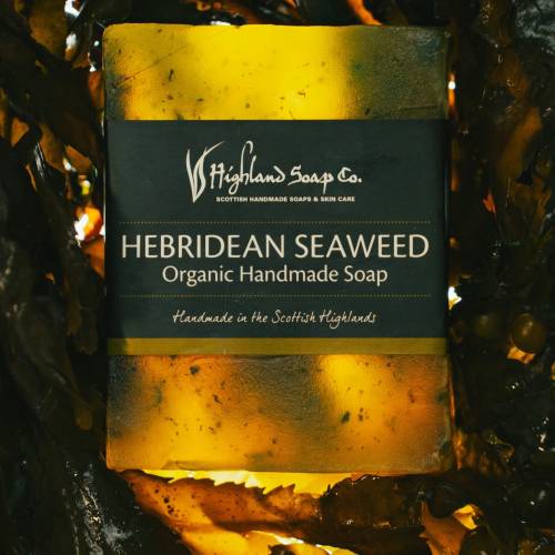 Hebridean Seaweed transparent